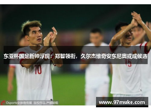 东亚杯国足新帅浮现：郑智领衔，久尔杰维奇安东尼奥或成候选